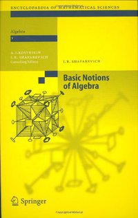 Basic Notions of Algebra (Springer 2005)