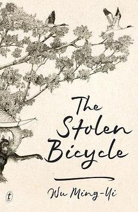 The Stolen Bicycle