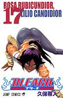 BLEACH―ブリーチ― 17