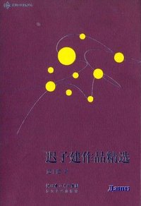 迟子建作品精选 (长江文艺出版社 2006)