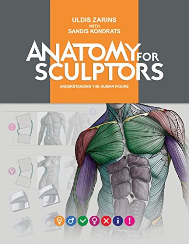 Anatomy for Sculptors, Understanding the Human Figure