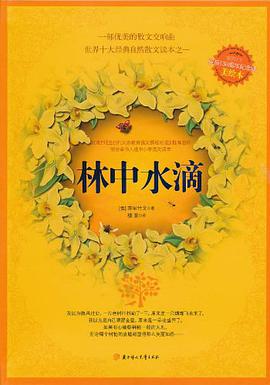 林中水滴