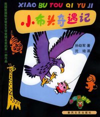 小布头奇遇记 (春风文艺出版社 2005)