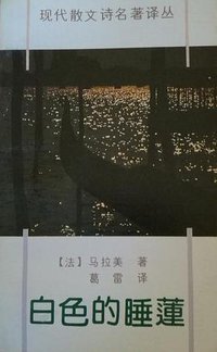 白色的睡莲