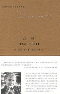 裂缝 (南京大学出版社 2008)