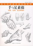 手与足素描-结构.比例.姿态和动作