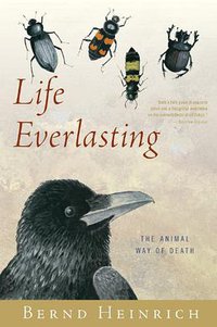 Life Everlasting (Mariner Books 2013)