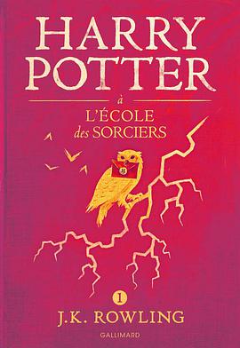 Harry Potter à l'école des sorciers