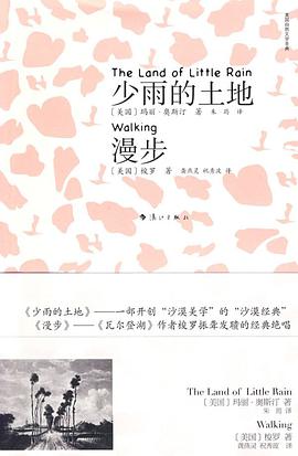 少雨的土地漫步
