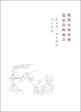 被禁止的欢愉 遗忘住的地方