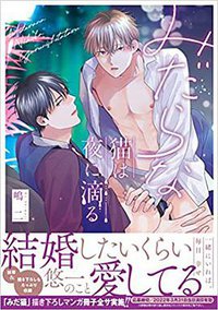 みだらな猫は夜に滴る