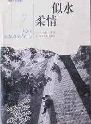 似水柔情 (今日中国出版社 1998)