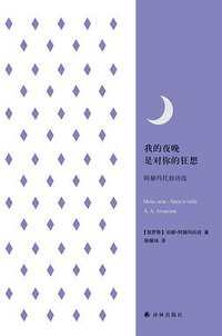 我的夜晚是对你的狂想