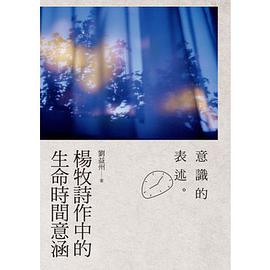 意识的表述