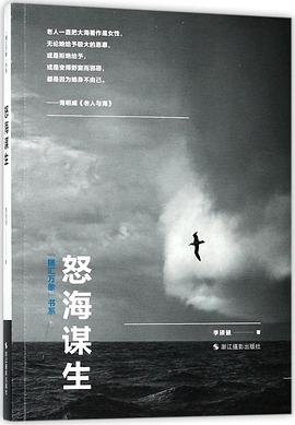 怒海谋生