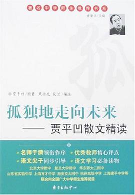 孤独地走向未来