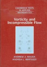 Vorticity and Incompressible Flow