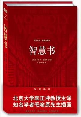 智慧书