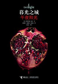 午夜阳光 (接力出版社 2021)