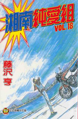 湘南純愛組18