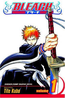 Bleach, Volume 1