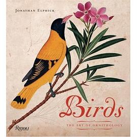 Birds: The Art of Ornithology