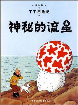 神秘的流星