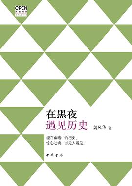 在黑夜遇见历史