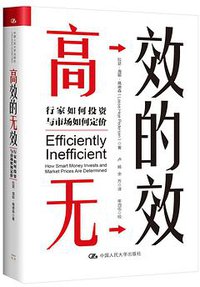 高效的无效 (中国人民大学出版社 2021)