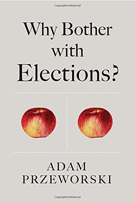 Why Bother With Elections?