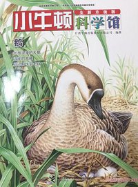 鹅