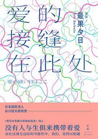 爱的接缝在此处 (上海人民出版社 2020)