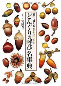 どんぐりの呼び名事典