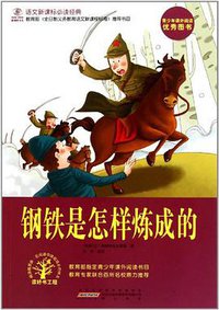 钢铁是怎样炼成的 (黄山书社 2011)