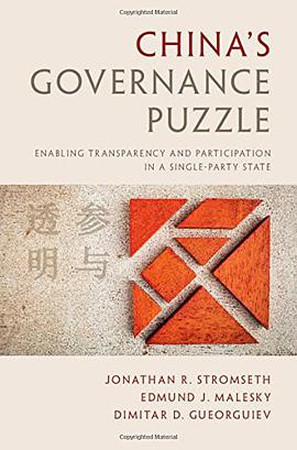 China's Governance Puzzle