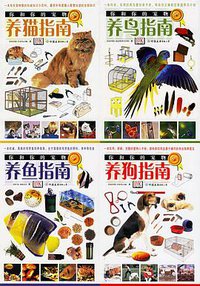 你和你的宠物