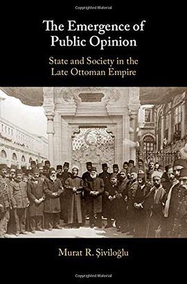 The Emergence of Public Opinion