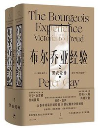 布尔乔亚经验 2