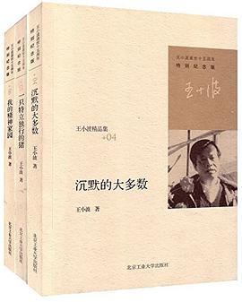 王小波经典著作