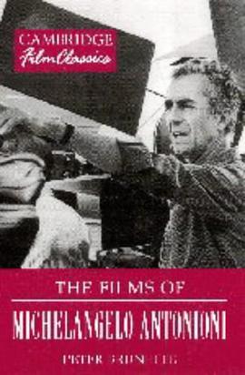The Films of Michelangelo Antonioni