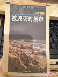 被毁灭的城市