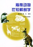 脊椎动物比较解剖学
