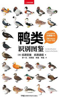 鸭类识别图鉴