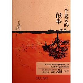 一个夏天的故事