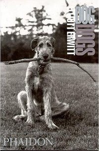 Elliott Erwitt