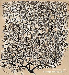 The Beautiful Brain
