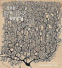 The Beautiful Brain (Abrams 2017)
