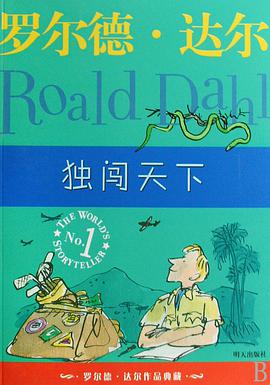 独闯天下