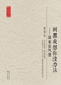 到黑夜想你没办法 (长江文艺出版社Changjiang Literature Press 2017)