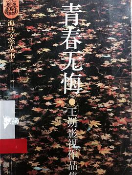 青春无悔